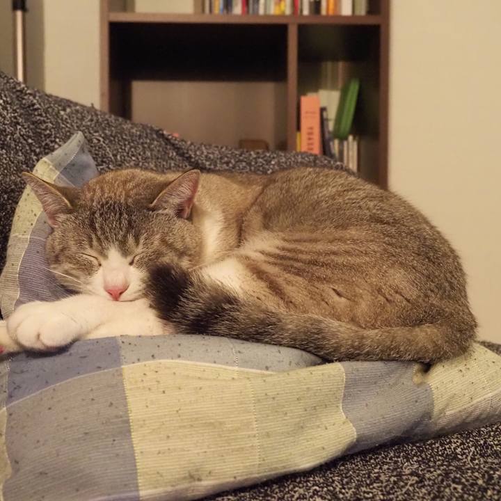 94eab48b 17a3 4b46 82aa eb03f2e28e5a 1619621153342