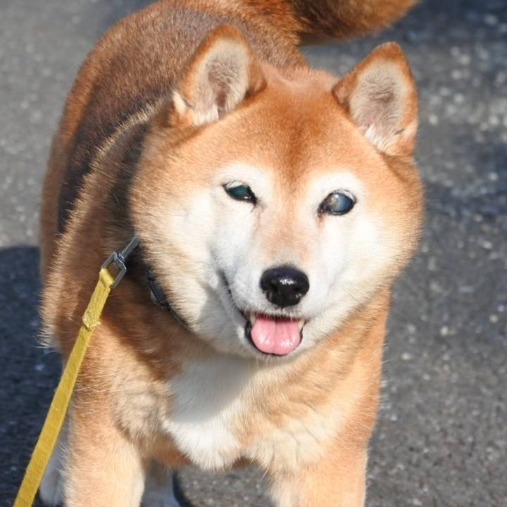 94eaebf7 e369 42ee 9e0a be35c33c2d2e 1653805317575