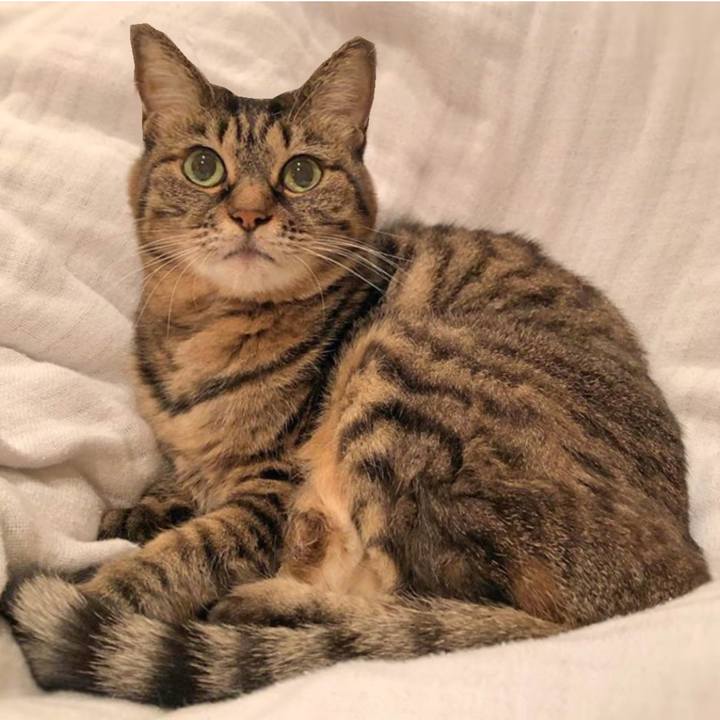 94eb2c31 7e6b 49c5 886b 9fee30ad64cb 1760653689030