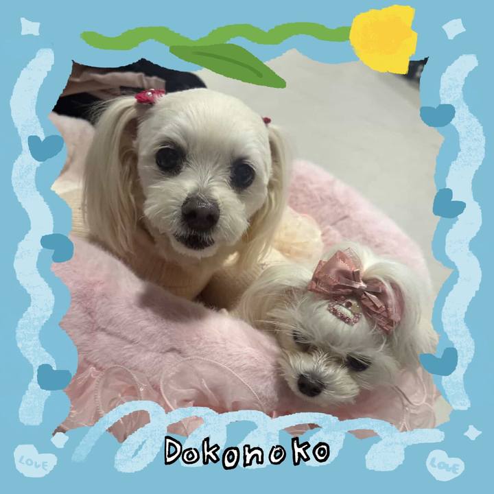 94eb3215 71e4 4cfa ad60 4d2d20c29607 1771927783792