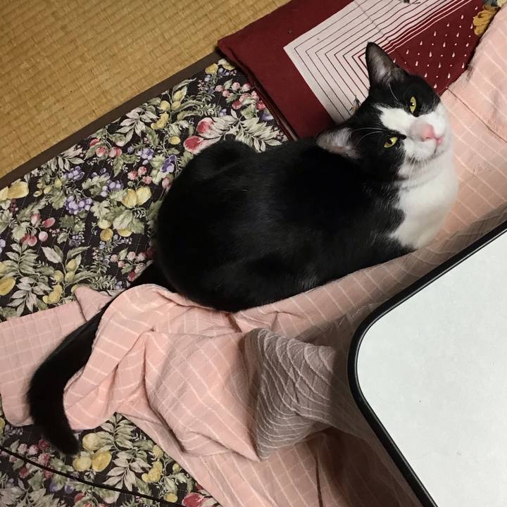 94eb4a86 6295 4276 af2b 3783dace7a60 1680954501177