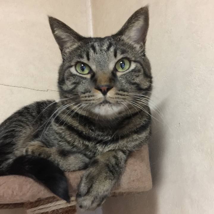 94eb6914 a2a3 4f80 8262 89ab4ec7264a 1555068286578