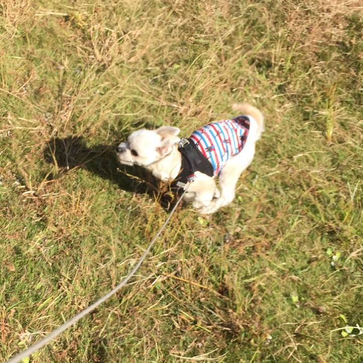 94eb7093 5680 4dab a7ea cc47bc482cca 1540709536112