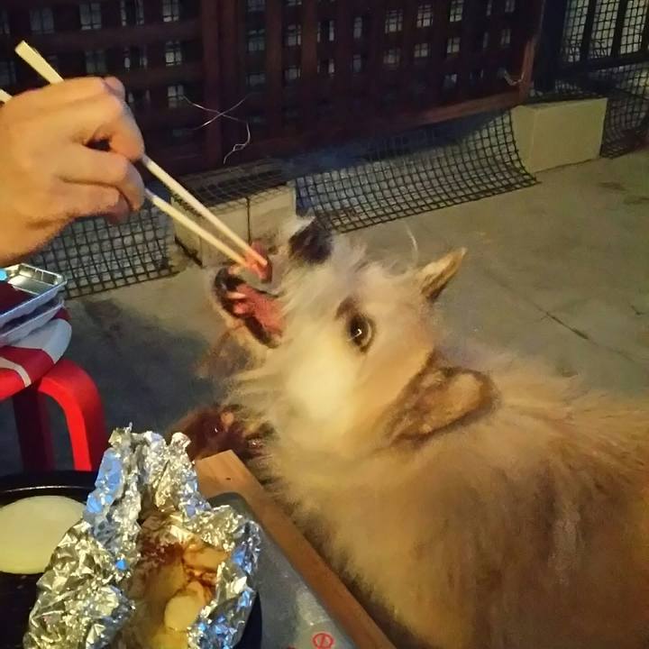 94eb8158 7040 4a42 b51e f0111ea7a335 1525516498719