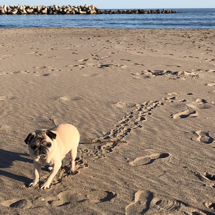 94eb9f50 f31b 4124 8be6 ba9b1e6a80fa 1572693906775