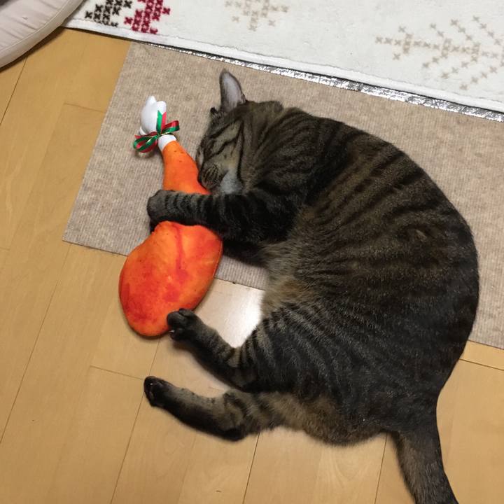 94ebf31b d3af 411c 9b1d a1bb866d950e 1513772156588