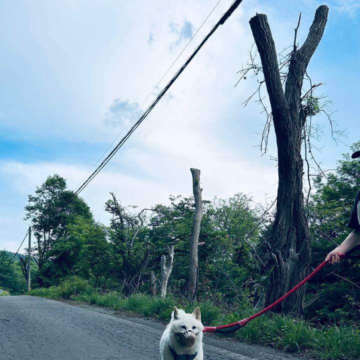 94ebff2a ea40 4e2f b4b3 d3495e77e8bb 1751576400318