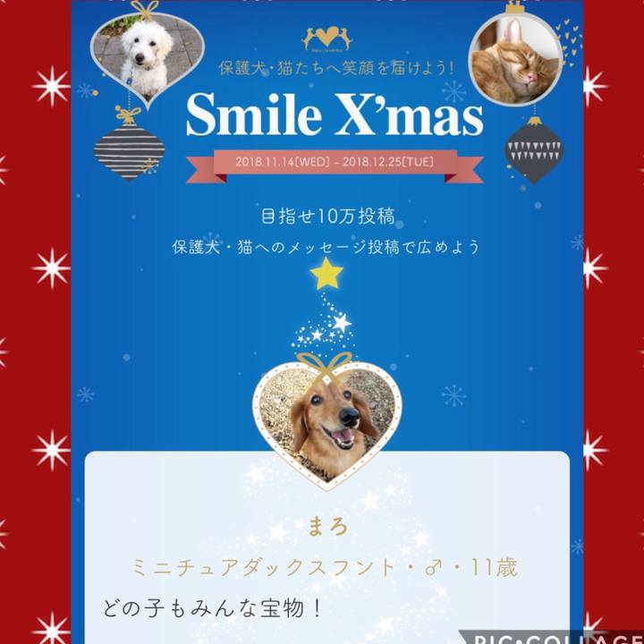 94ec2d54 edb7 4058 8bb4 a2615142c540 1545047540742