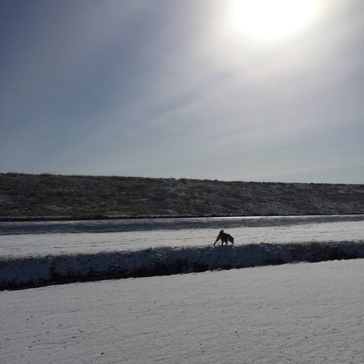 94ec4ecf 74c5 429a a74b e6086a0d6fb4 1549797401109