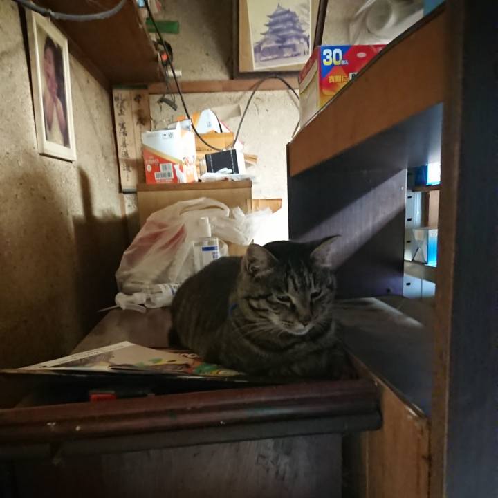 94ecda58 1dd2 4dea 96b7 db1b474a482f 1656968361890