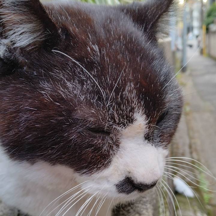 94ecdc4e 5e10 4f57 8aab c2580b6640ba 1711528011683