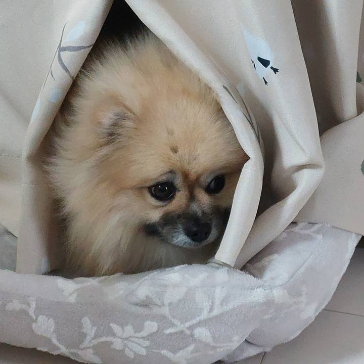 94ecfa33 309d 4625 b67c 85d70a68d39e 1732099914608