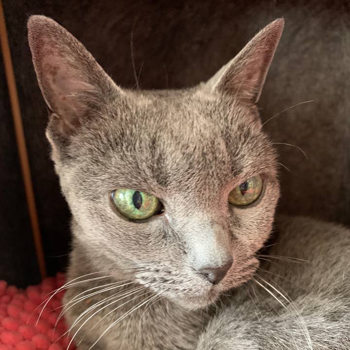 94ecff44 f317 4e8f 816e a3fbeb633136 1635652024057