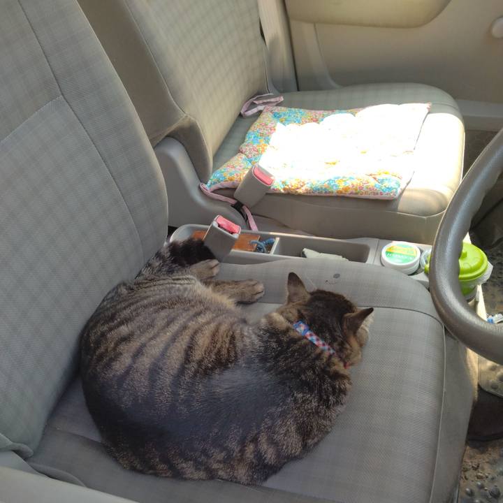 94ed087f 99cf 4fdb a4cc 133d047005fa 1680242135621