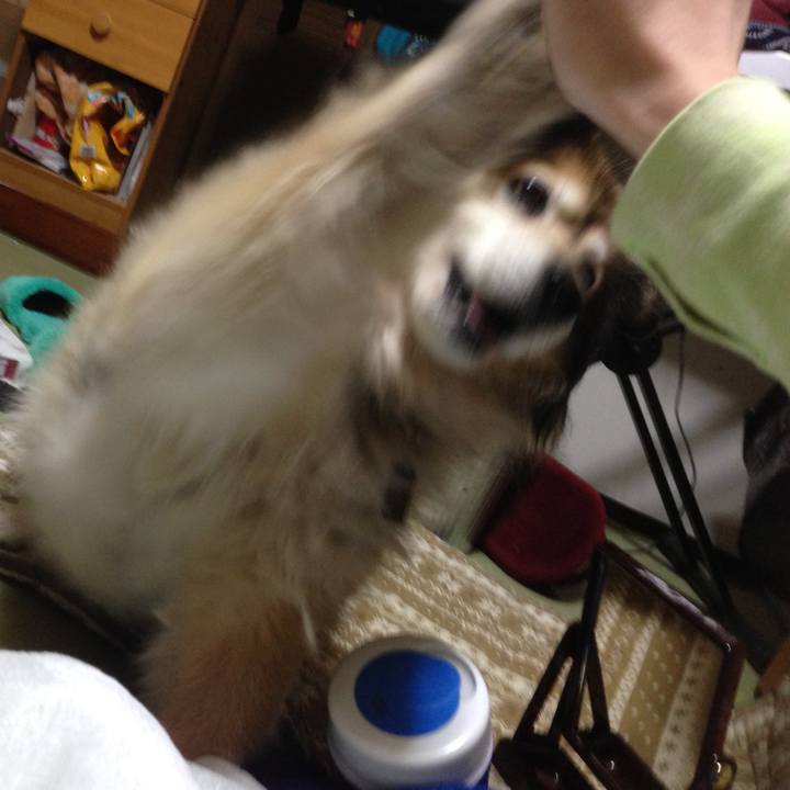 94ed10b4 824d 482d 97ed c167f54c6a64 1575807331394