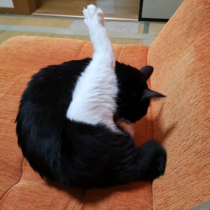 94ed11ef 4e19 44df ac10 8ac9665f1c37 1568866239674