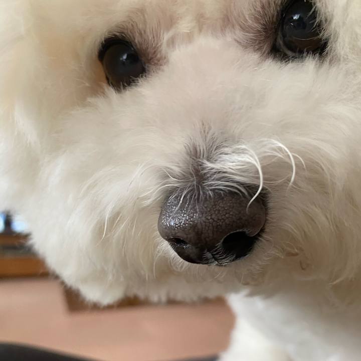 94ed136d 3942 47d3 908f 3953bb195f55 1613364325369