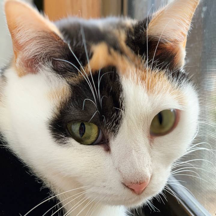 94ed2578 828e 477b a572 3b2189fa6e03 1546047128587