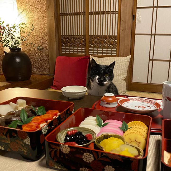 94ed3994 fce1 4445 9774 32d865cddd66 1767356223443