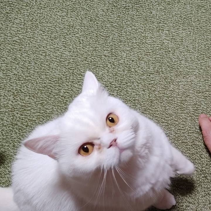 94ed3b26 34f4 4c1a 8022 c35f054f5b47 1683069103906