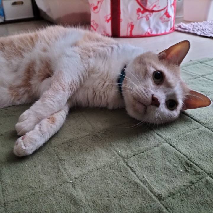 94ed4d35 f972 45f7 971f 4340e0d17193 1631570969111