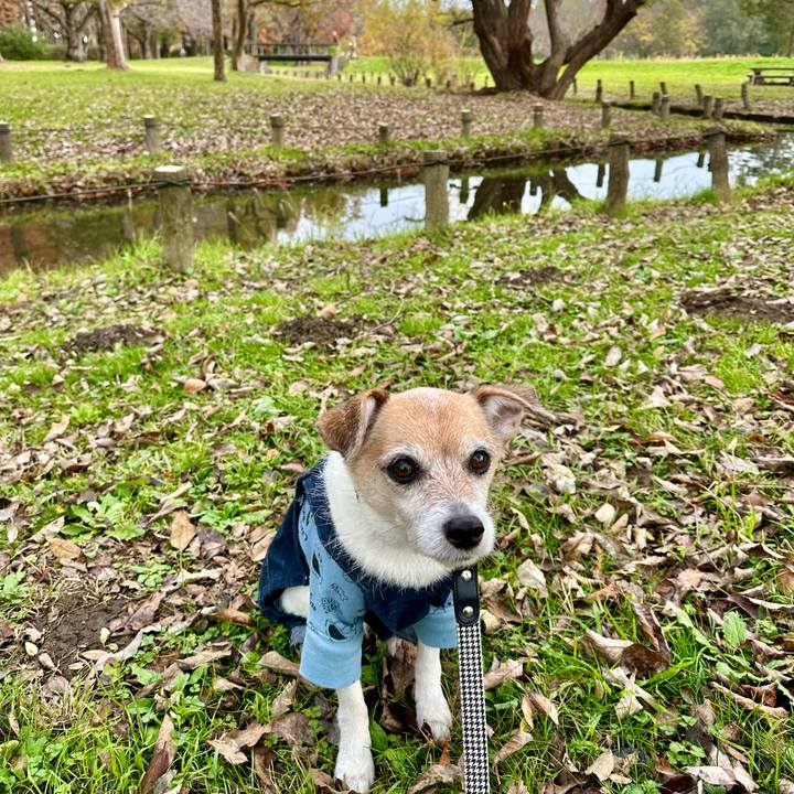 94ed65bb b72c 44b1 9f2f c2acd55c83dc 1669444254206