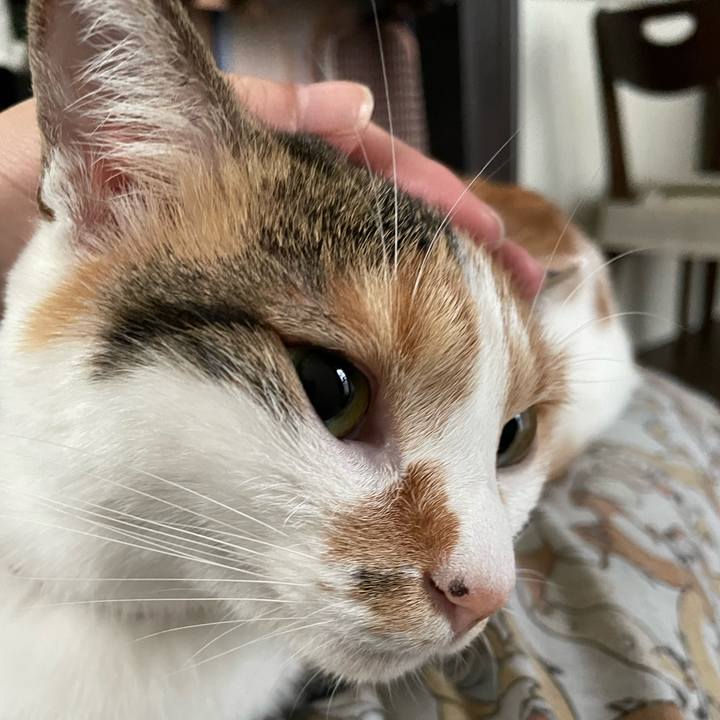 94ed7ad9 3cd7 48c4 bb31 a446ccf6ad42 1634600283310