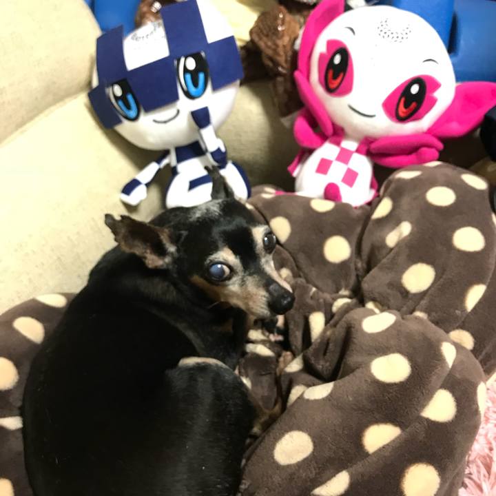 94ed7b23 5400 4e4c 95e8 6c4275ddff44 1557544562929