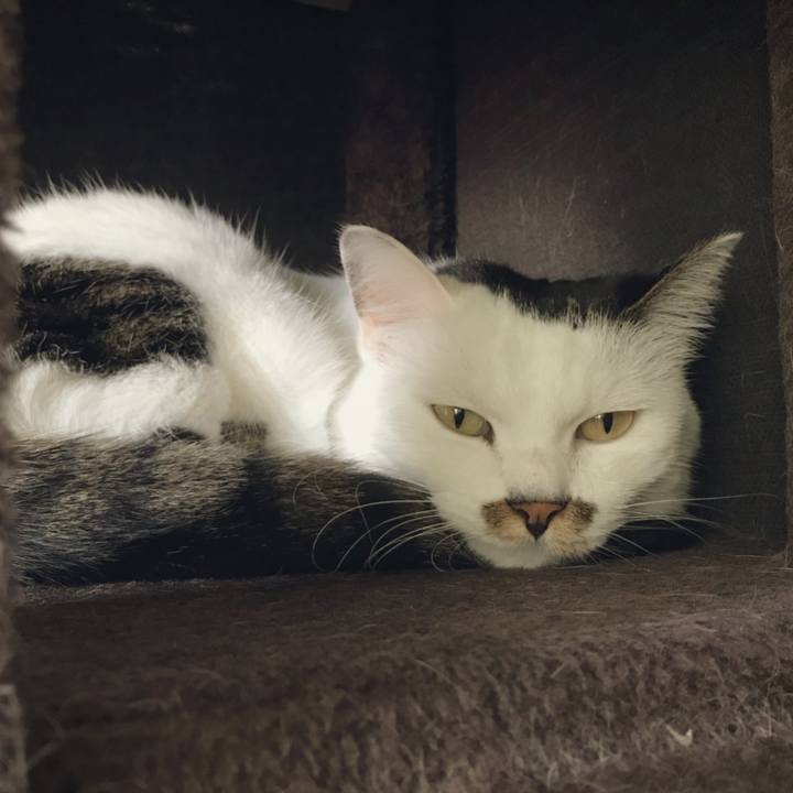 94eda40a 09f7 4760 bbbb 41c5a7518ccd 1538109376476