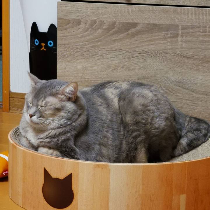 94eda7d0 8ba6 4107 9dd1 b3a8a769a41c 1636293850856