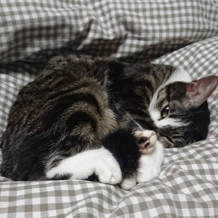 94edbe9d 42dd 4dcb b86f a8e226059b71 1512310069130