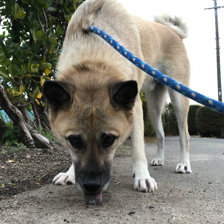 94edcf2c a665 4394 90b7 ea2d645826f8 1607429476646