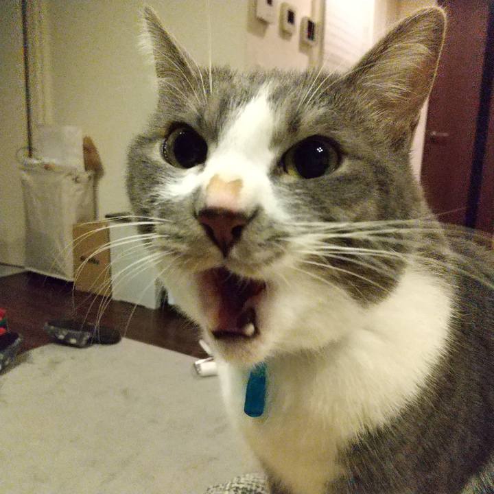 94ede8b4 561a 41ed afbd 27fb709a9037 1609334587911