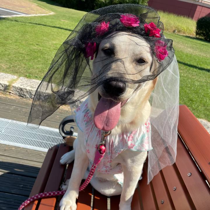 94ee07b9 53ad 4226 a817 1de8c8a42645 1633748993550