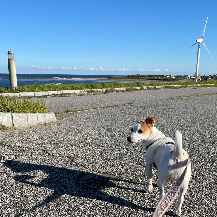 94ee707b fc14 4f84 849c 262acc244668 1634983581617