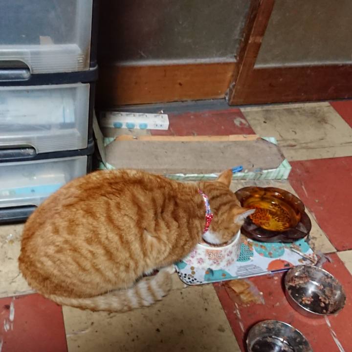 94eeabf0 3b28 4bac 867b 8f510f9a9218 1577564310883