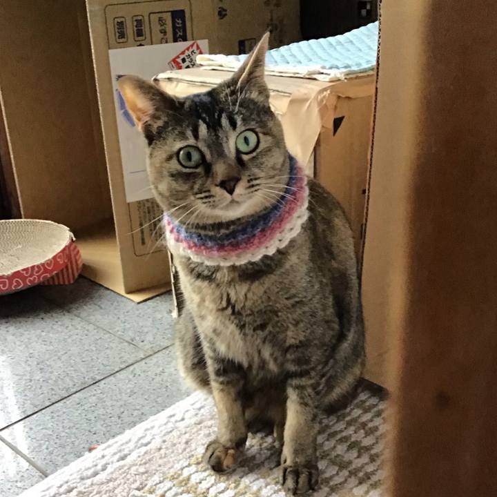 94eecafc 25a9 4b62 9df8 a12ee482e010 1619943247955