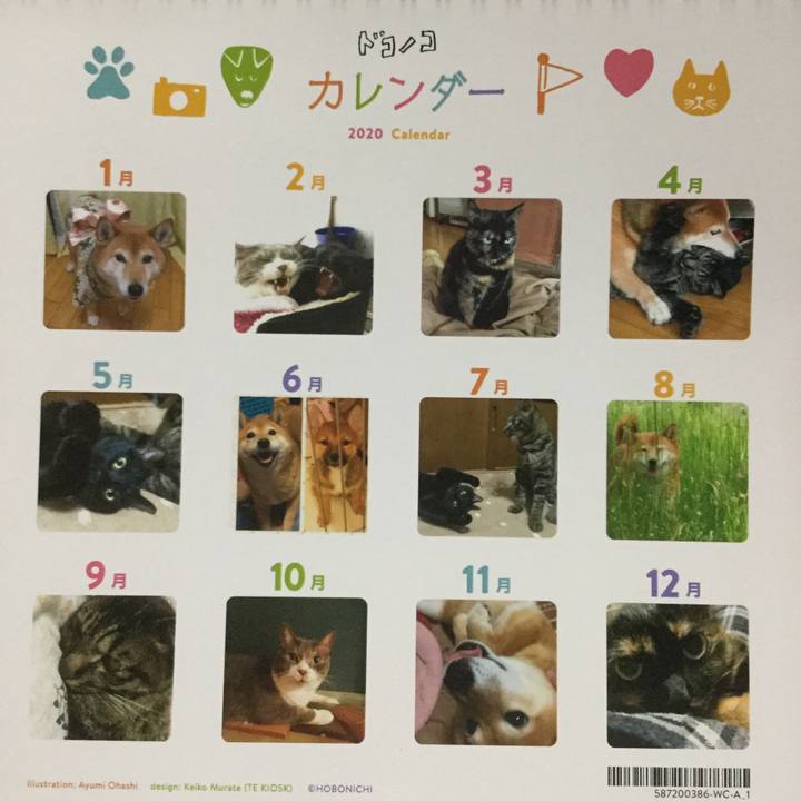 94eed976 f103 4f73 a1cd bc55110fb5f4 1575072289357