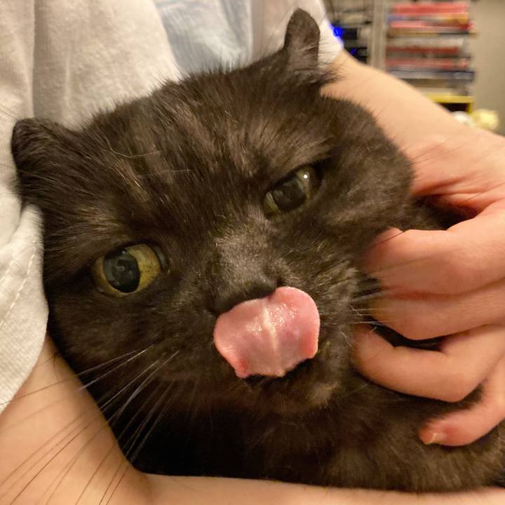 94ef4599 a616 47ed 9dd1 0293d4d596e4 1594827326244