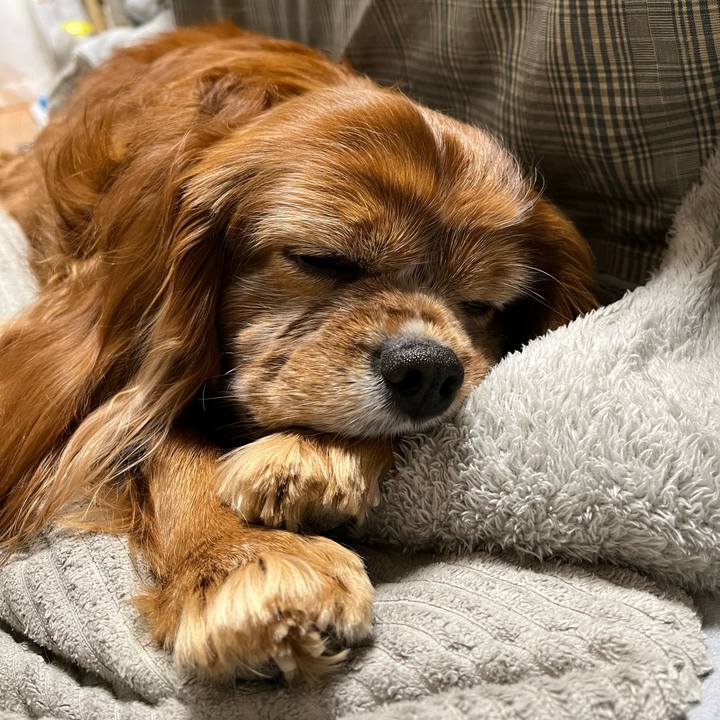 94ef6c3d d415 49f0 8cd0 eb6d5ebf4687 1739014215829