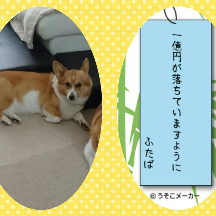 94ef8cf9 7958 4584 b88c 550ab9643808 1530966942685