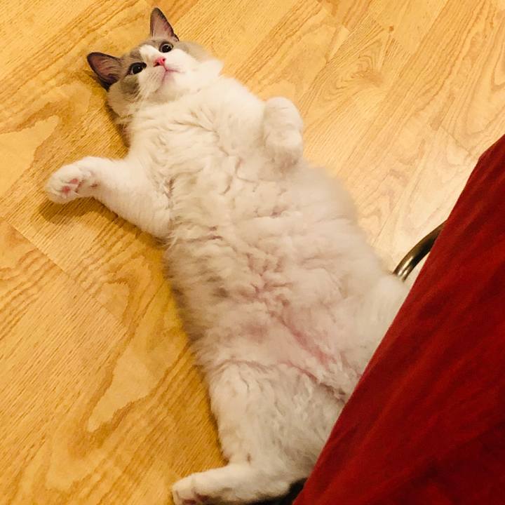 94efc5f6 6590 4593 9c1b 036dfd3d0e5f 1567585823895