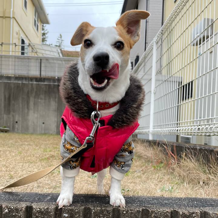 94efc930 0434 43c3 95a8 d35eb0c734ed 1610009191581