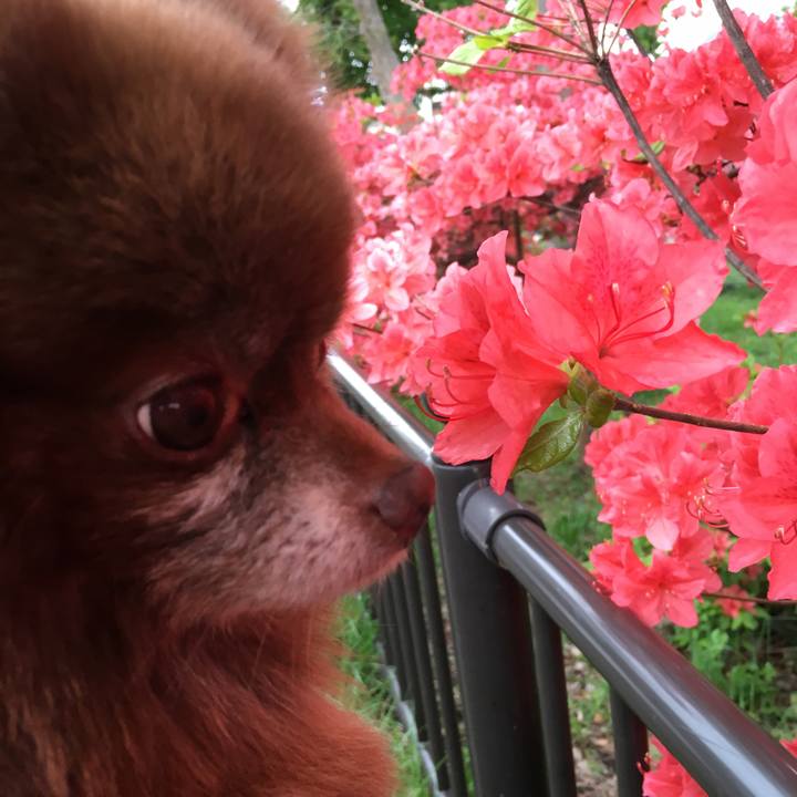 94efcc10 7137 4615 8c7c c2d509c4a7c3 1526560665241