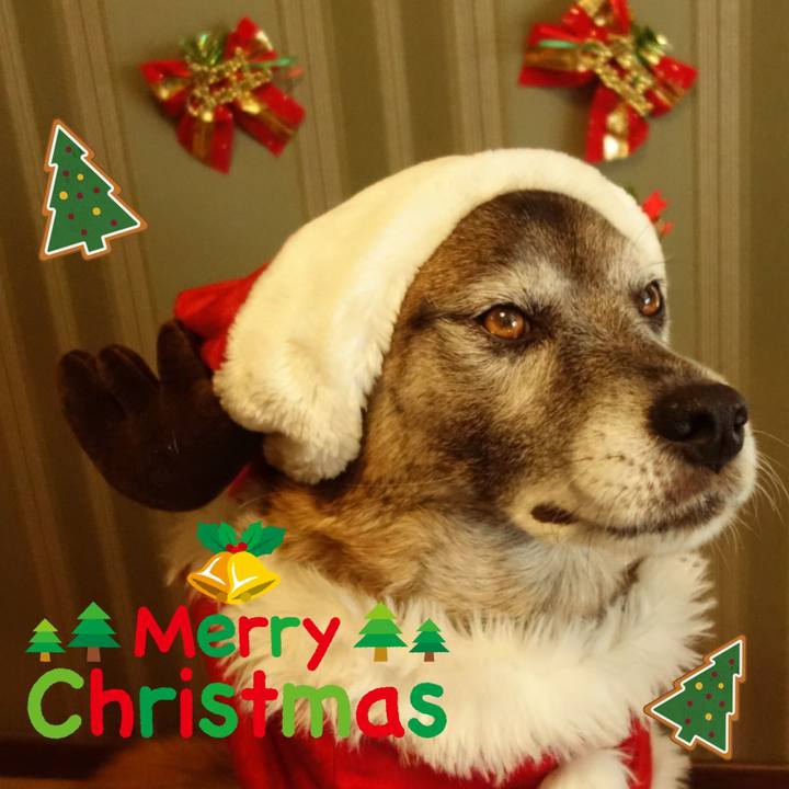 94efcd86 f630 49ec 8569 3d7d5a083bda 1671931756927