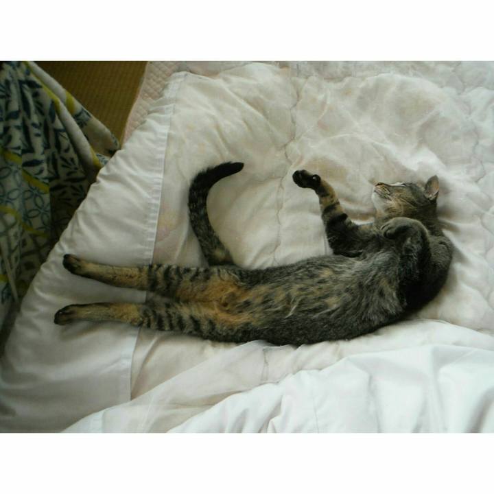 94efd937 1115 40e0 907d 7d3b10b4a95b 1562312776387