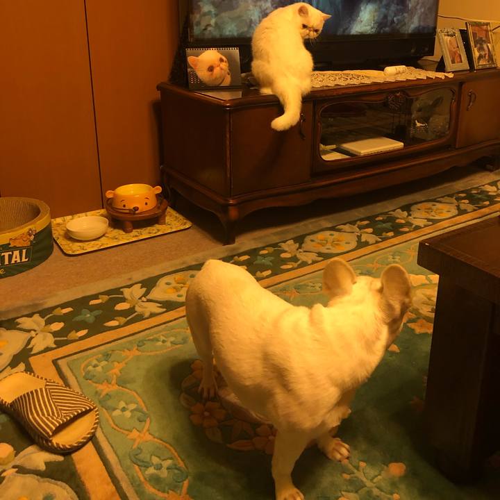 94efe19c ae1f 4047 8e9c 622ae7c18f09 1636280175756