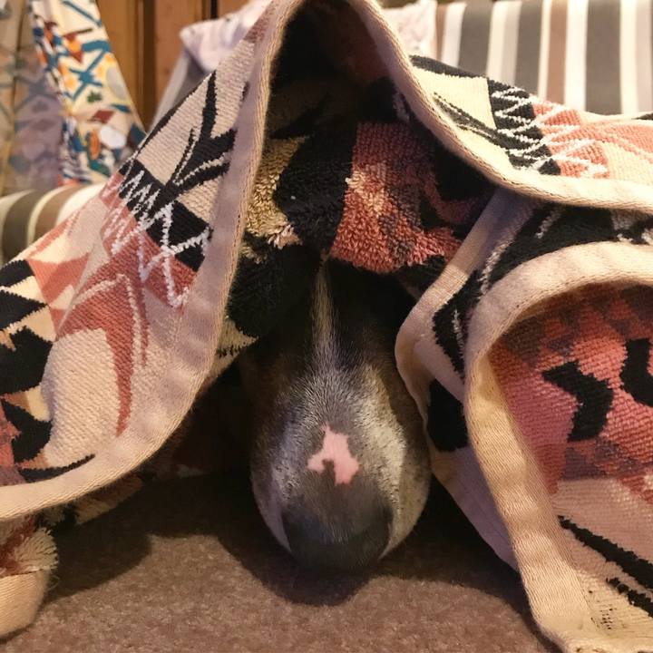 94efe263 0916 4530 a8a2 0f4f3e6c632e 1518959536659