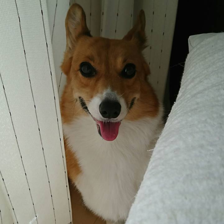 94f00e26 aae3 49c0 be1e 75d466c3ce17 1534222878904