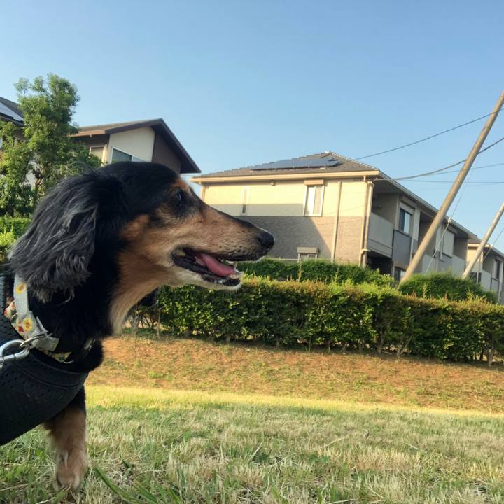 94f05644 6961 48b4 ba30 f051e827f0ef 1623312387638